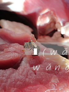 網(wǎng)貸無逾期記錄多久消除，網(wǎng)貸無逾期記錄多久會自動消除？影響信用恢復(fù)的時間因素解析